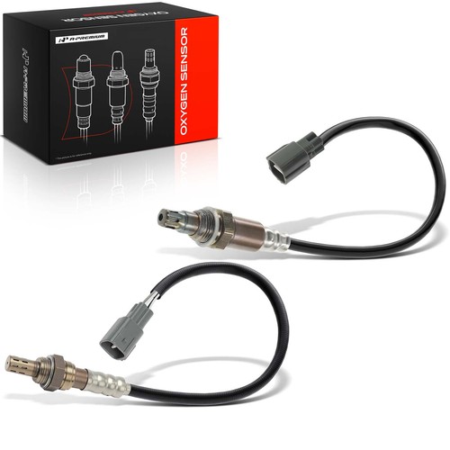 Premium upstream - 2x, &
